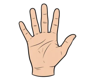 أركان الإسلام للأطفال