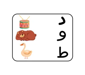 الربط بين الحروف والعالم المحيط